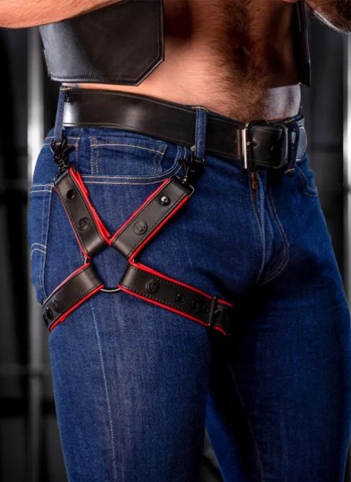 Mr._S_Leather_Leg_Harness_-_red
