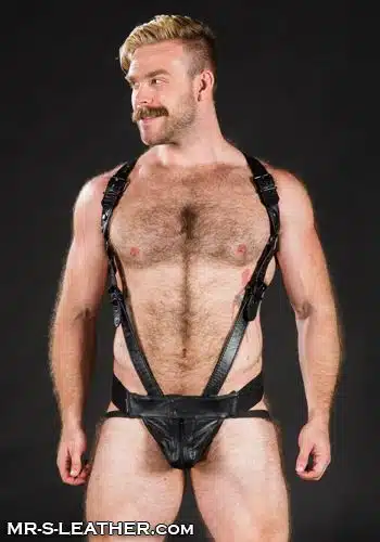 Mr. S Leather Cockstrap for Hunter Harness 2.0 Black