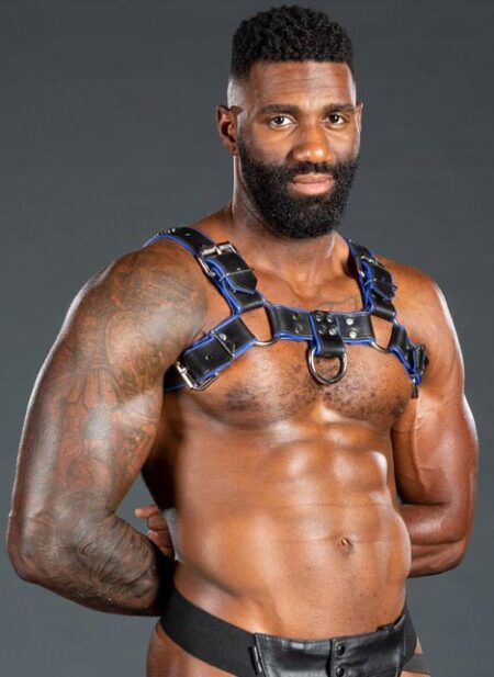 Mr. S Leather Bulldog Harness Piped Black Small / Medium
