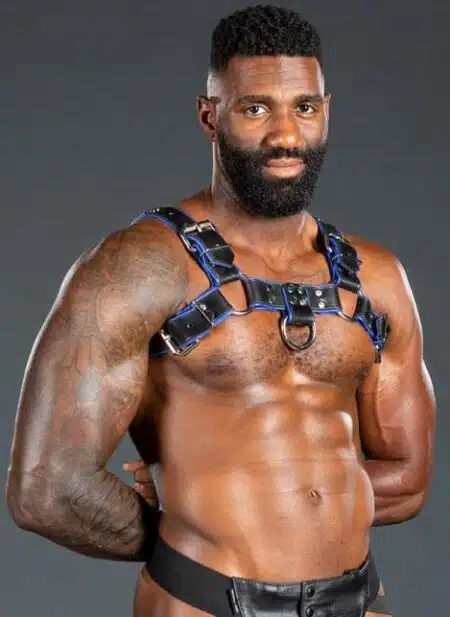 Mr. S Leather Bulldog Harness Piped Black Small / Medium