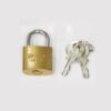 Titus Master Chastity Ass Lock with 40 mm Ball 40 mm