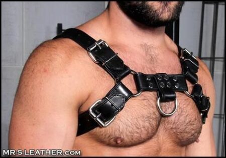 Mr. S Leather Bulldog Harness Piped Black Small / Medium