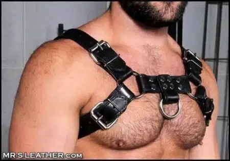 Mr. S Leather Bulldog Harness Piped Black Small / Medium