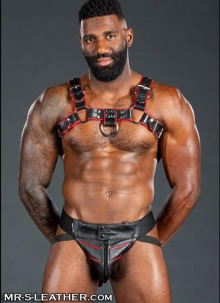 Mr. S Leather Bulldog Harness Piped Black Small / Medium