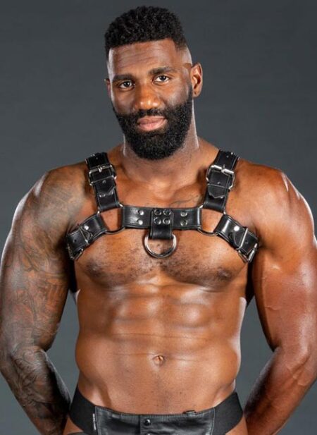 Mr. S Leather Bulldog Harness Piped Black Small / Medium