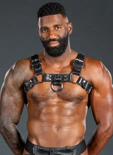 Mr. S Leather Bulldog Harness Piped Black Small / Medium