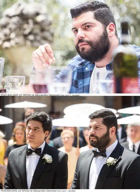 Artifilm DVD My Big Gay Italian Wedding