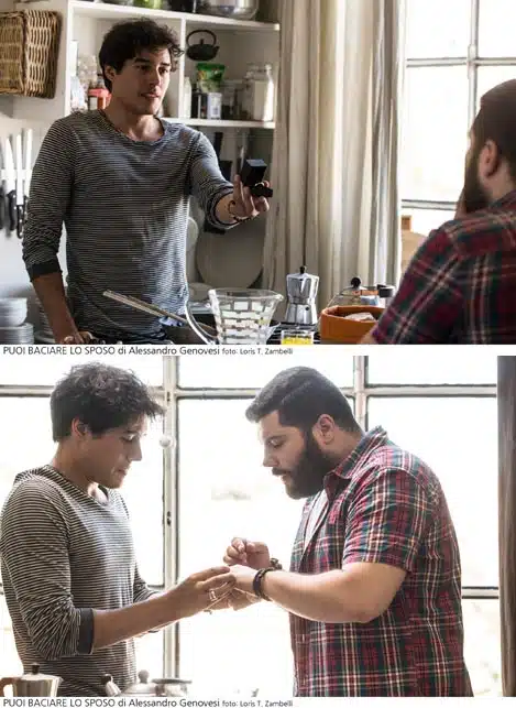 Artifilm DVD My Big Gay Italian Wedding