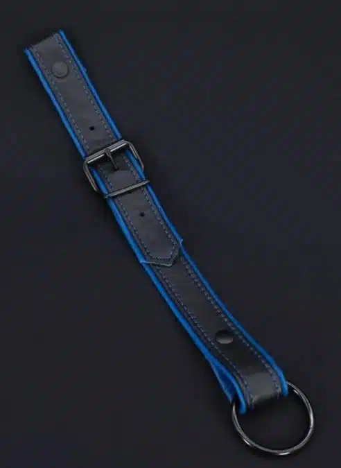 Mr. S Leather Cockstrap for Bulldog Harness Piped - Blue