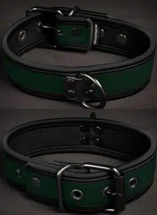 Mr. S Neoprene Puppy Collar Hunter Small/Medium
