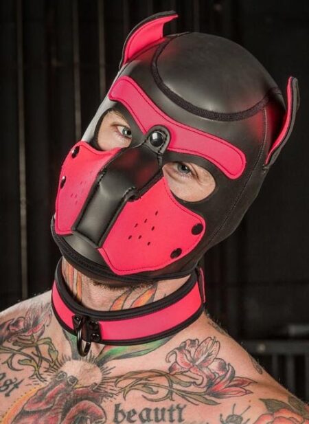 Mr. S Neoprene Puppy Collar Pink Large/Extra large