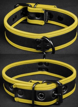 Mr. S Neoprene Puppy Collar Yellow piping Small/Medium