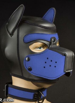 Mr. S Neoprene Puppy Collar Royal blue Small/Medium