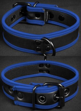 Mr. S Neoprene Puppy Collar Blue piping Large/Extra large