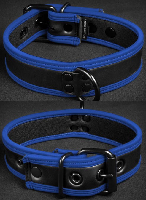 Mr. S Neoprene Puppy Collar Blue piping Large/Extra large