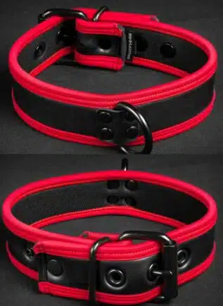 Mr. S Neoprene Puppy Collar Red piping Large/Extra large