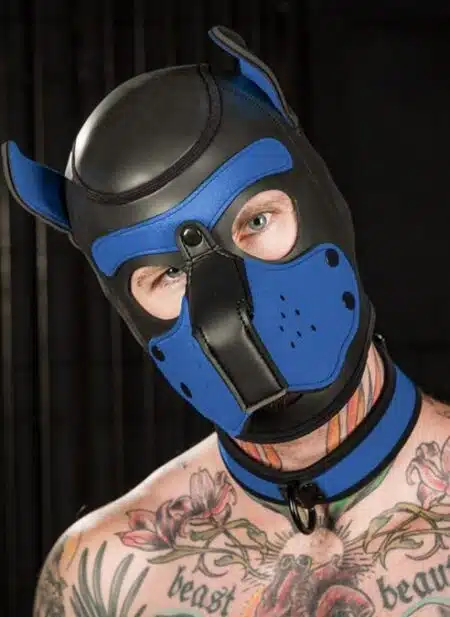 Mr. S Neoprene Puppy Collar Cobalt blue Small/Medium