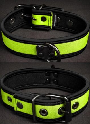 Mr. S Neoprene Puppy Collar Lime Small/Medium