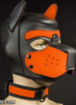 Mr. S Neoprene Puppy Collar Orange Small/Medium