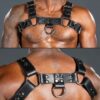 Mr. S Leather Bulldog Harness Latigo Black Small/Medium