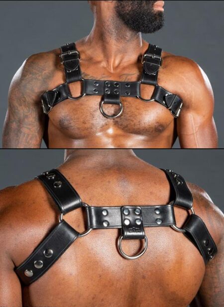 Mr. S Leather Bulldog Harness Latigo Black Small/Medium
