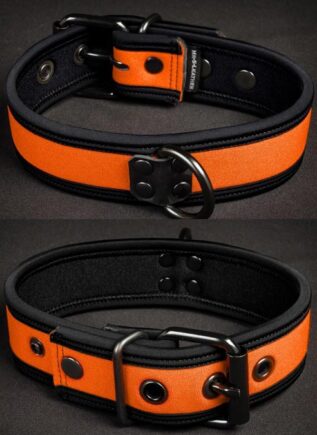 Mr. S Neoprene Puppy Collar Orange Small/Medium