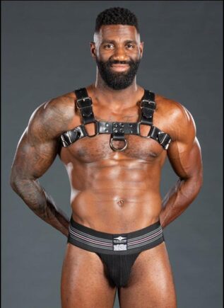 Mr. S Leather Bulldog Harness Latigo Black Small/Medium