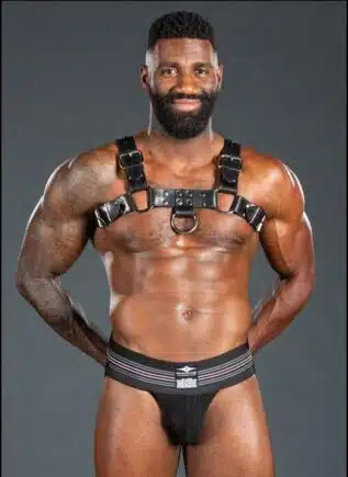 Mr. S Leather Bulldog Harness Latigo Black Small/Medium