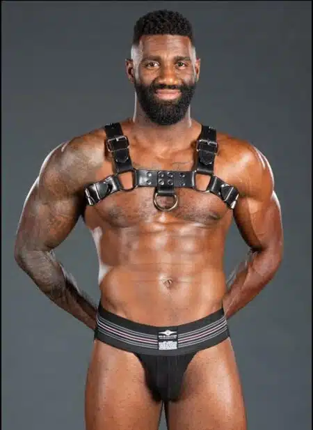 Mr. S Leather Bulldog Harness Latigo Black Small/Medium