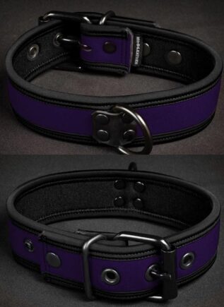 Mr. S Neoprene Puppy Collar Purple Large/Extra large