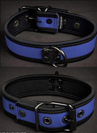 Mr. S Neoprene Puppy Collar Royal blue Small/Medium