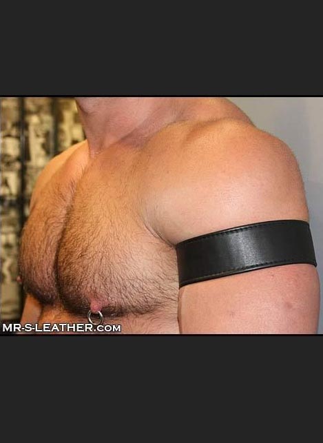 Mr. S Leather Bicepband 1.75" Black Small