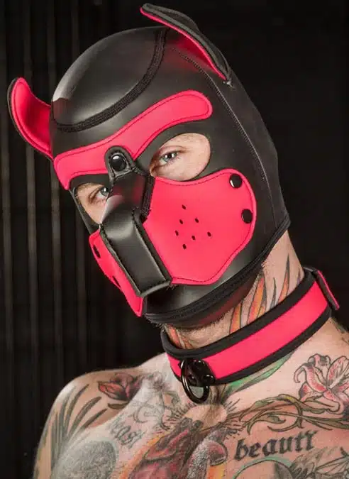 Mr. S Neoprene Puppy Collar Pink Small/Medium
