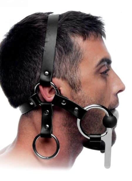 Master Series Steed Head Harness
