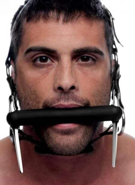 Master Series Steed Head Harness