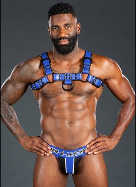 Mr. S Leather Dark Room Bulldog Harness Blue Small / Medium