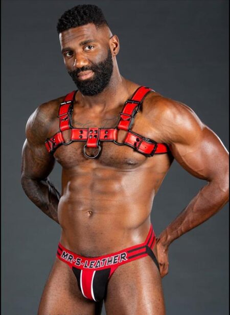 Mr. S Leather Dark Room Bulldog Harness Red Large/Extra large