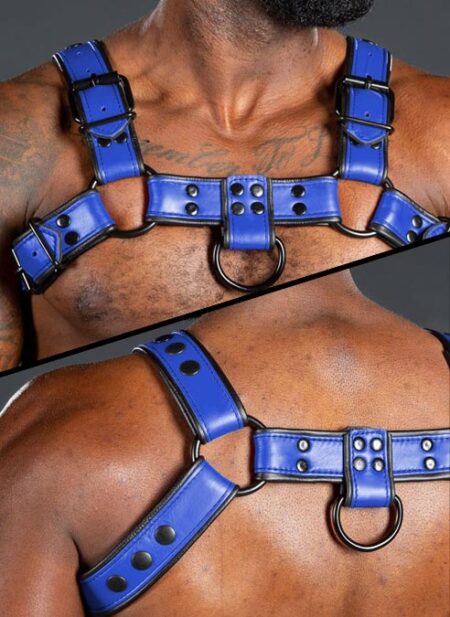 Mr. S Leather Dark Room Bulldog Harness Blue Small / Medium