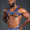 Mr. S Leather Dark Room Bulldog Harness Blue Small / Medium