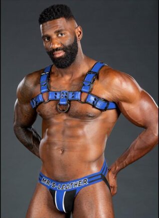 Mr. S Leather Dark Room Bulldog Harness Blue Small / Medium