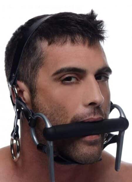 Master Series Steed Head Harness