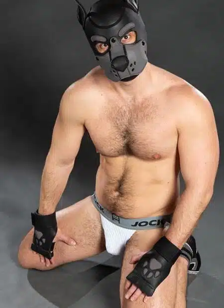Mr. S Leather Open Paw Puppy Glove Grey