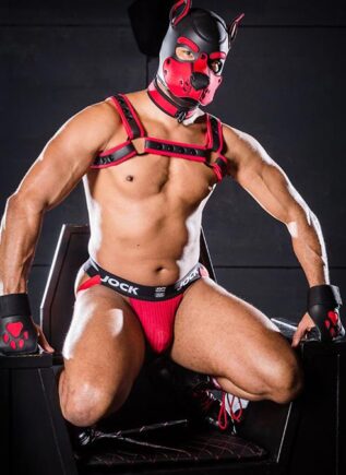Mr. S Leather Open Paw Puppy Glove Red