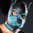Mr. S Neo K9 Hood Aqua Medium