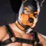 Mr. S Neo K9 Hood Orange Medium