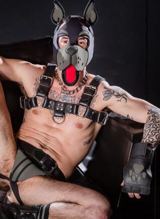 Mr. S Leather Open Paw Puppy Glove Grey