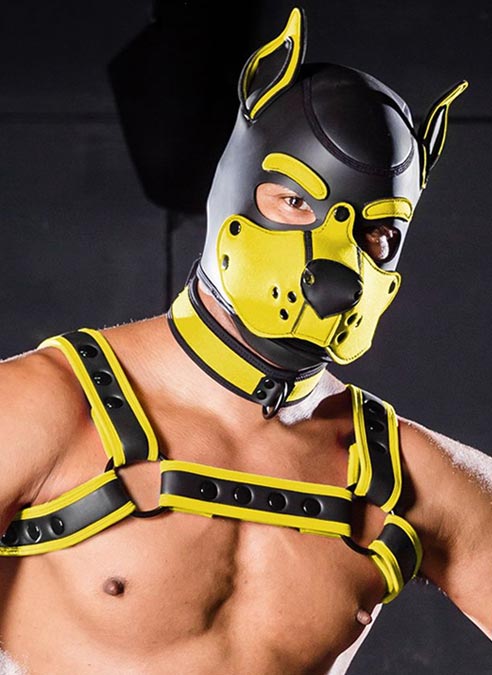 Mr. S Neo K9 Hood Yellow Large