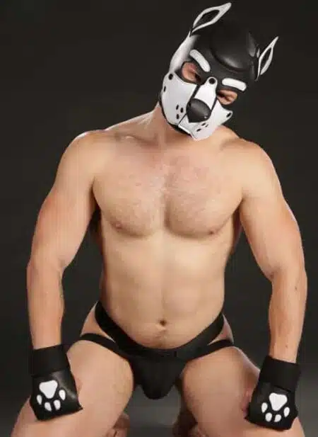 Mr. S Leather Open Paw Puppy Glove White