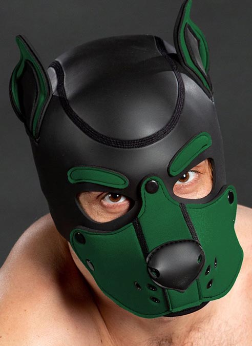 Mr. S Neo K9 Hood Hunter Medium