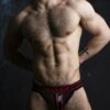 Locker Gear Jockstrap with Zipper Red Large